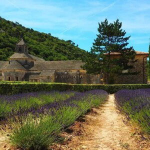 Patricia Julius profile icon