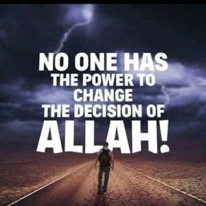 Anisa Jalisul profile icon