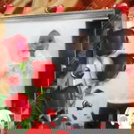 Nur Qhalisha Dania profile icon