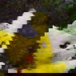 Novi Novia profile icon