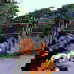 Aze Aquino profile icon