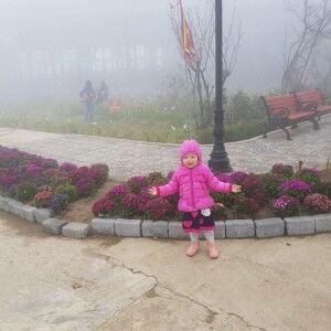 Phạm Thảo profile icon