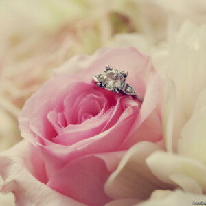 nova sartika profile icon