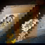 Noo Pacharee profile icon