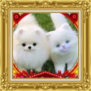 Mary Joy Dela Cruz profile icon