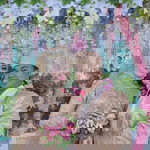 Muhamad Hafidz profile icon