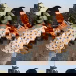 I'Parn Parn profile icon