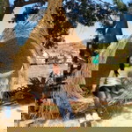 Akiko Yok profile icon