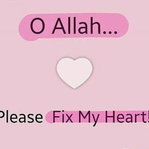 Reisha Sari profile icon