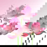 JessieJames87 profile icon