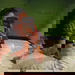 Wilaiwan Sawangdat profile icon