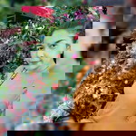 Mam Mam profile icon