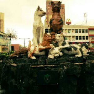 steffanie lee profile icon