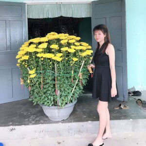 Hồng Quanh profile icon