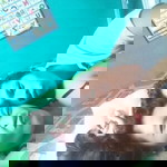 Kate Fidel profile icon