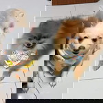 Gyendaline Yeo profile icon