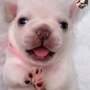 Trần Thủy profile icon