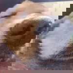 Chaya Tk profile icon