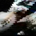 อุดมพร เหมือนสิงห์ profile icon
