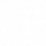 Curious profile icon