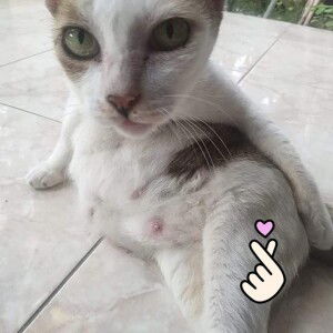 กำลังใจ ที่หายไป profile icon