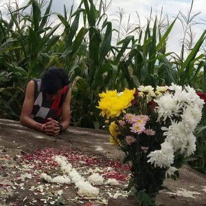 Gema Efrayndi profile icon