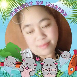 Aoy Socksock profile icon