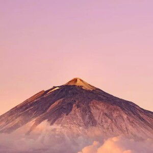 Sri Hardiyanti profile icon