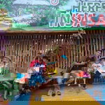 Ayu Handini profile icon