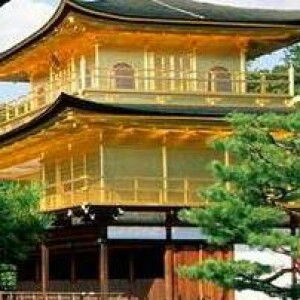 Yuhendry Dedy profile icon