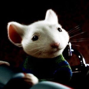 Stewart Bon Hatteberg profile icon