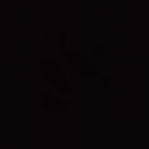 แพร ดื้อ- profile icon