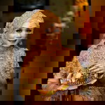 Meilanumar profile icon