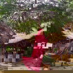 Ikrima Amalia profile icon