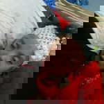 Nurul Huda profile icon