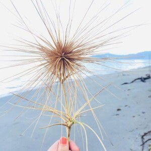 Ummu Ghiffary AR profile icon