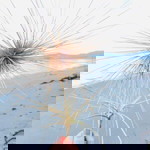 Ummu Ghiffary AR profile icon