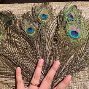 Adni Ahmad Shah profile icon