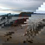 Atiqah Eyqa profile icon