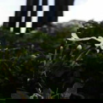 Luki EF profile icon