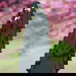 Linda Fierdhaoezz profile icon