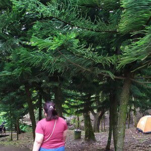 Garcia Vian profile icon