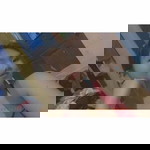 Nicole Cubelo profile icon