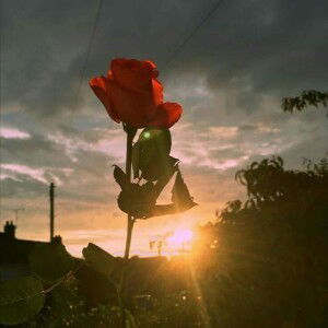 Vivi Nurindah Sari profile icon