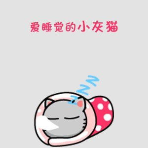 นกน้อย ช้อป profile icon