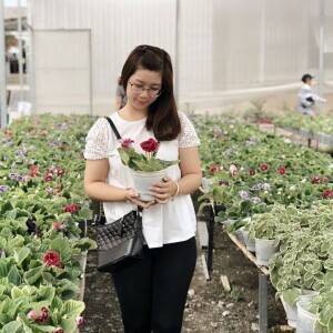 Khưu Thanh profile icon