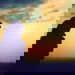 Shinta Ayuum Dallu profile icon