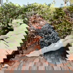 Pitchanan's Int profile icon