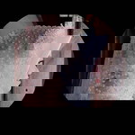 Nacca Lee profile icon