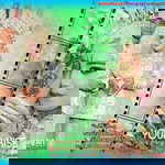 Safa Pajokka profile icon